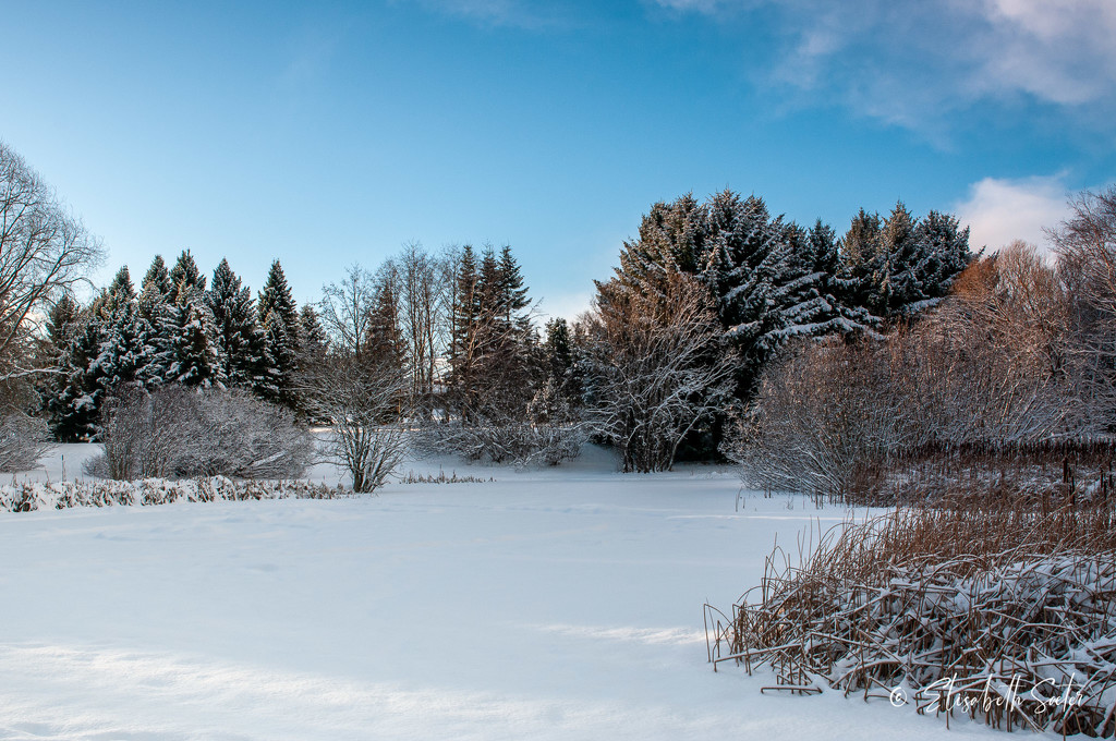 Winter wonderland by elisasaeter