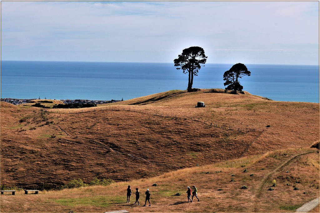 Papamoa Hills View out to the Pacific Ocean by sandradavies