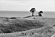 7th Feb 2021 - Papamoa Hills View out to the Pacific Ocean