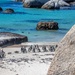Penguins at Boulders by ludwigsdiana