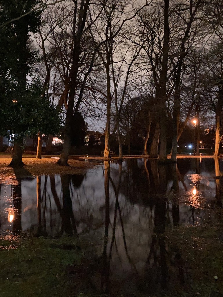 Flooded park by mollw