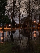 21st Jan 2021 - Flooded park