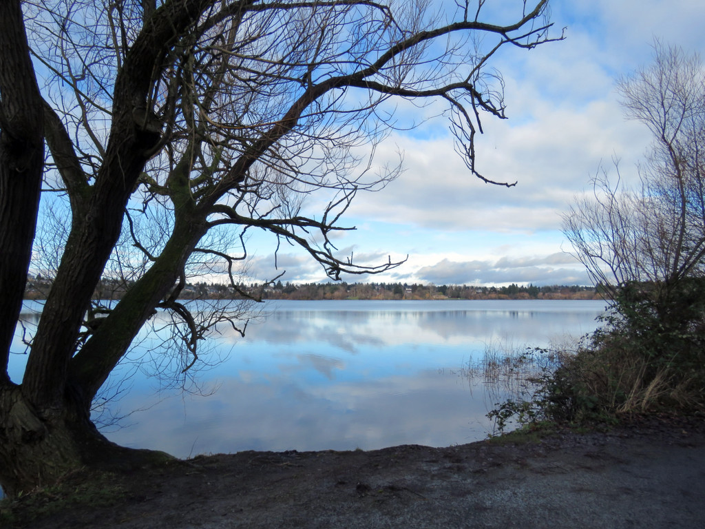 Green Lake Reflections by seattlite
