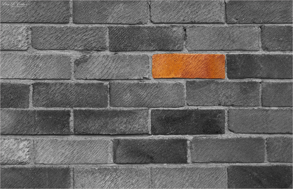 Another brick in the wall by pcoulson