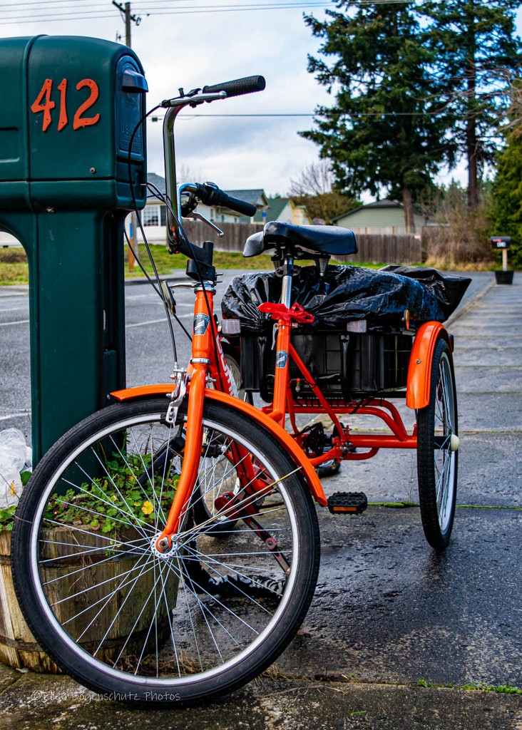 ORANGE! Tricycle by theredcamera