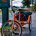 ORANGE! Tricycle by theredcamera