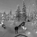 Flash of red 7 Dog sled ride  by busylady
