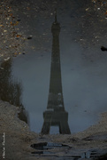 7th Feb 2021 - Paris in a puddle