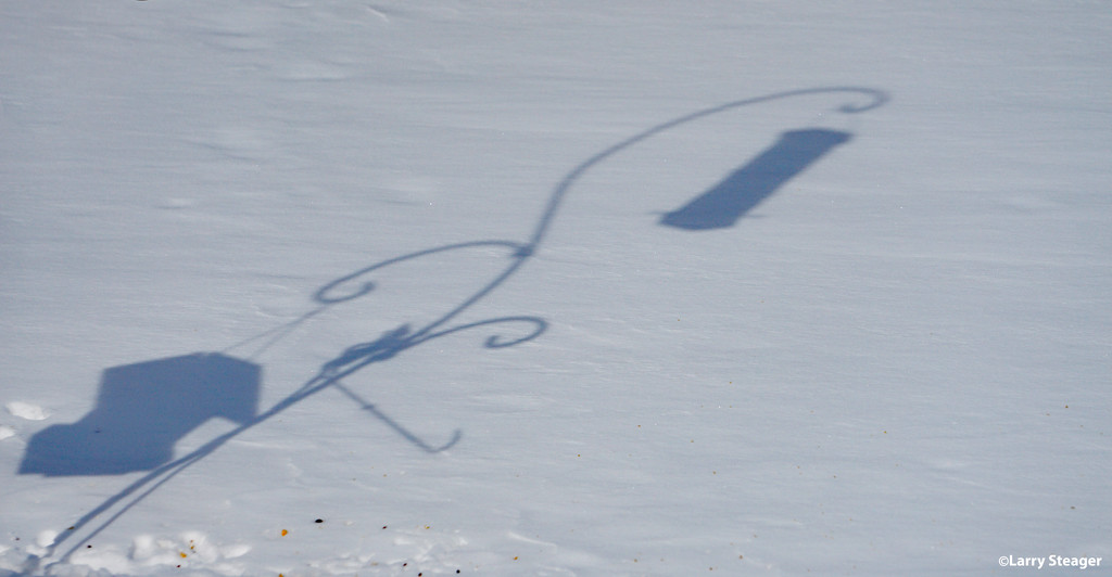 Shadow on the snow by larrysphotos
