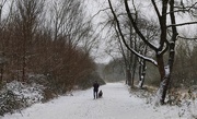 7th Feb 2021 - Walking in a winter wonderland 
