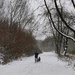 Walking in a winter wonderland  by geertje