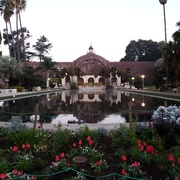 2nd Feb 2021 - Balboa park - Botanical Garden