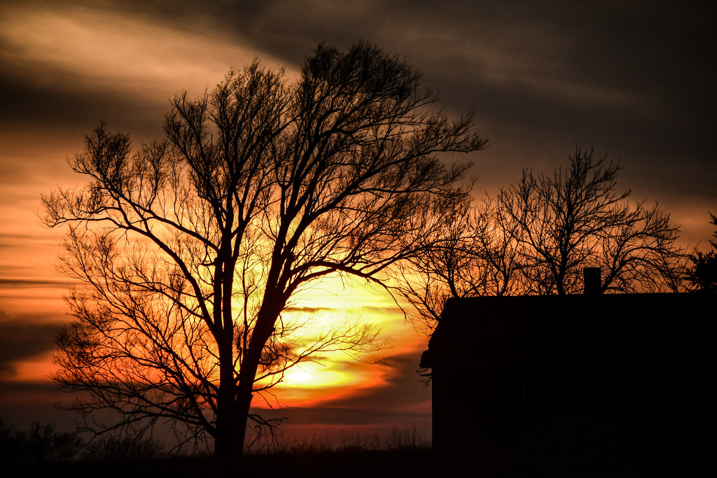 A Shack and a Tree at Sunset by kareenking