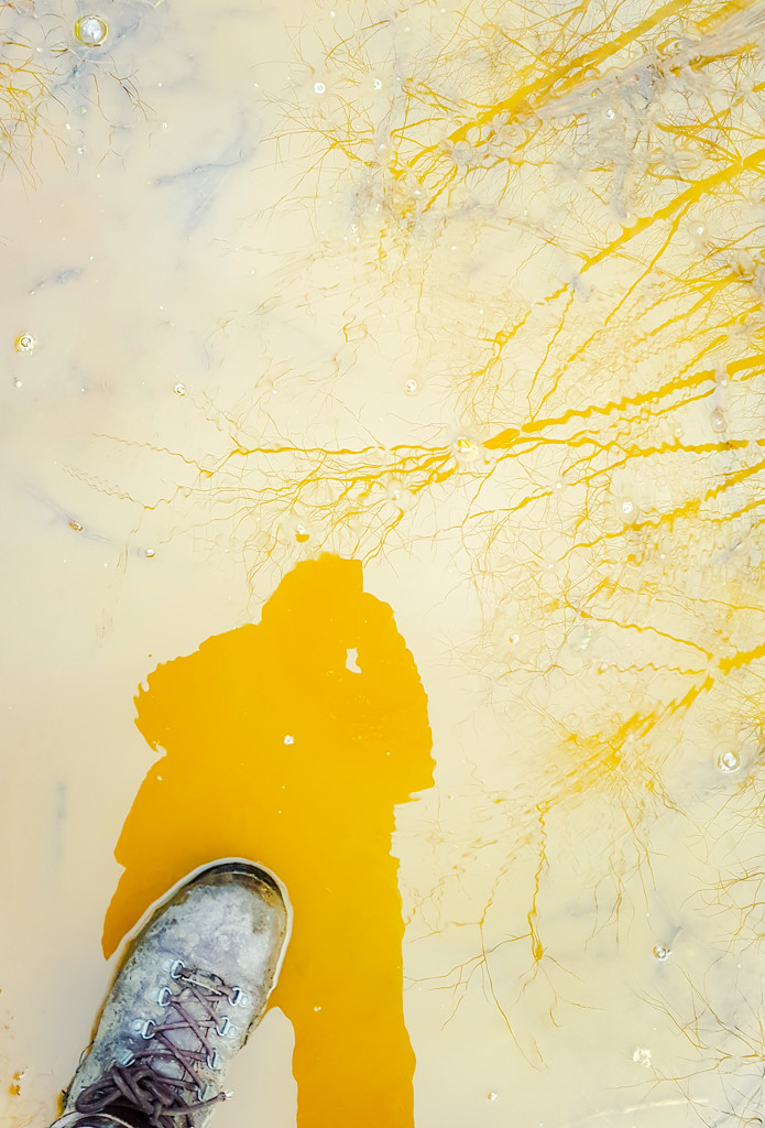 puddle painting by helenhall