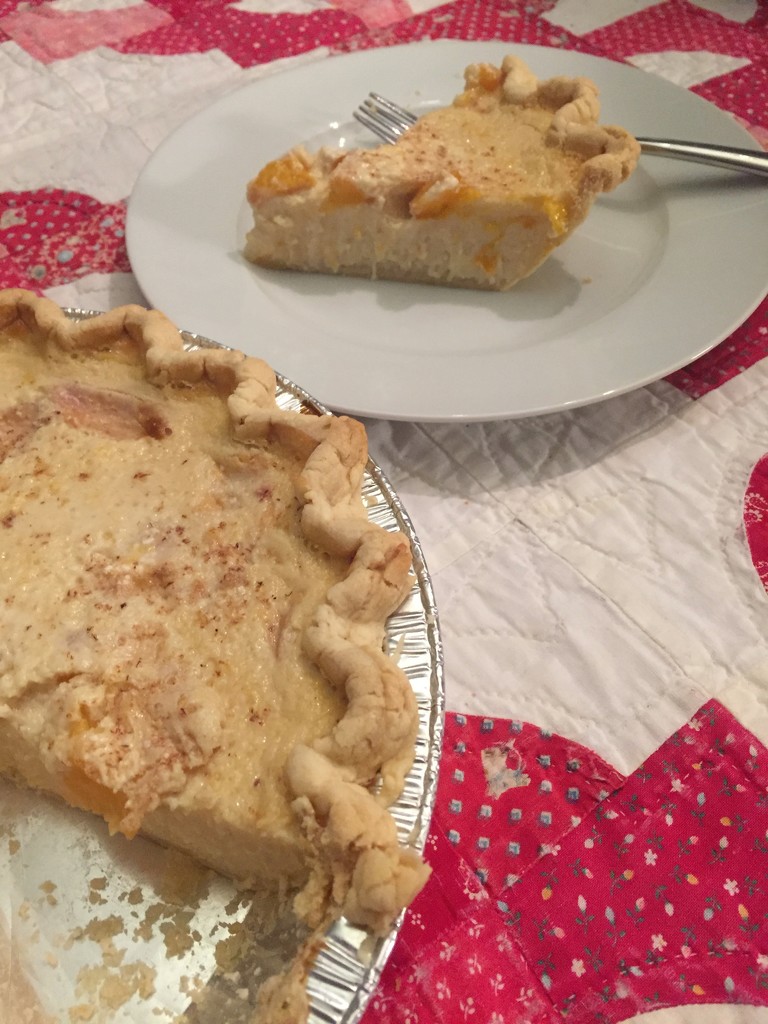 My mother's "cheesecake pie" by margonaut