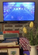 7th Feb 2021 - watching the super bowl