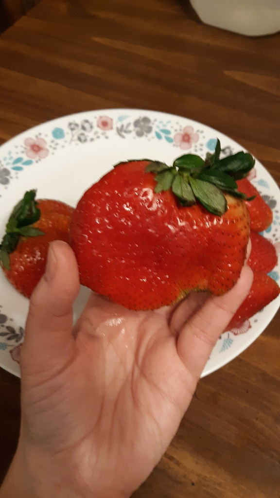 Big Strawberry  by julie