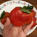 Big Strawberry  by julie