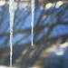 Icicle by april16