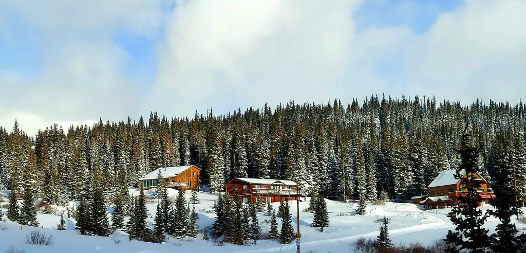 Colorado Mountain Log Homes by harbie