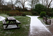 8th Feb 2021 - At Last - The Snow Has Arrived
