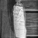 Message in a Bottle by pcoulson