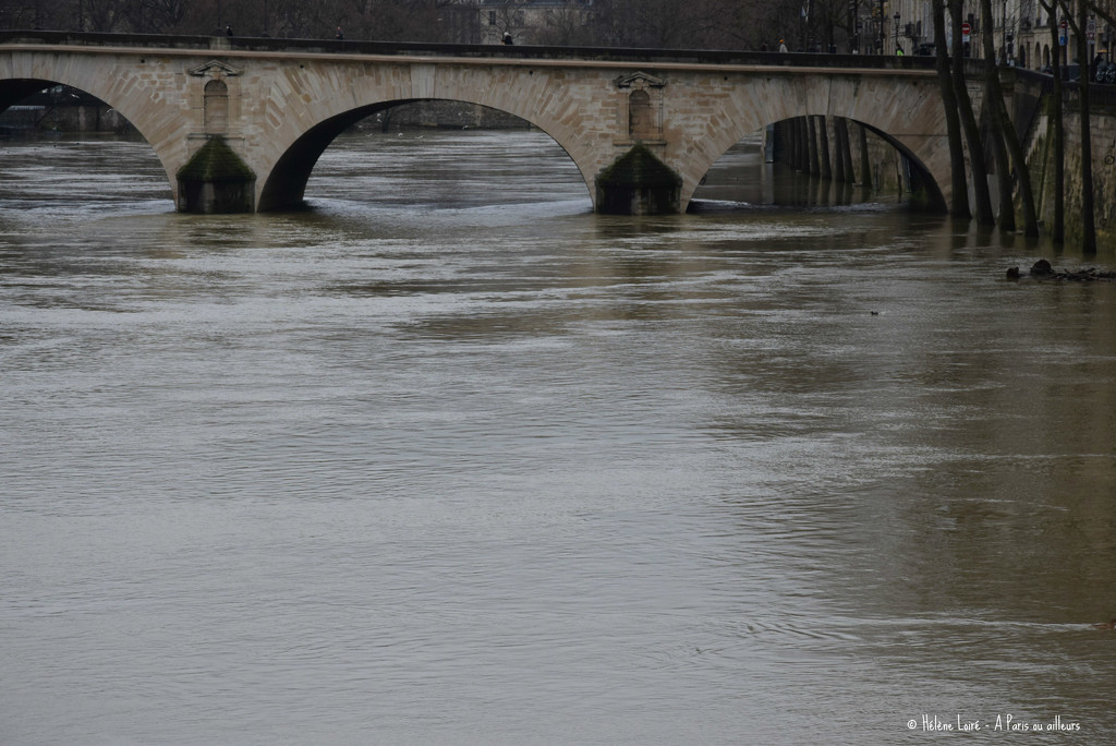 The Seine is high by parisouailleurs