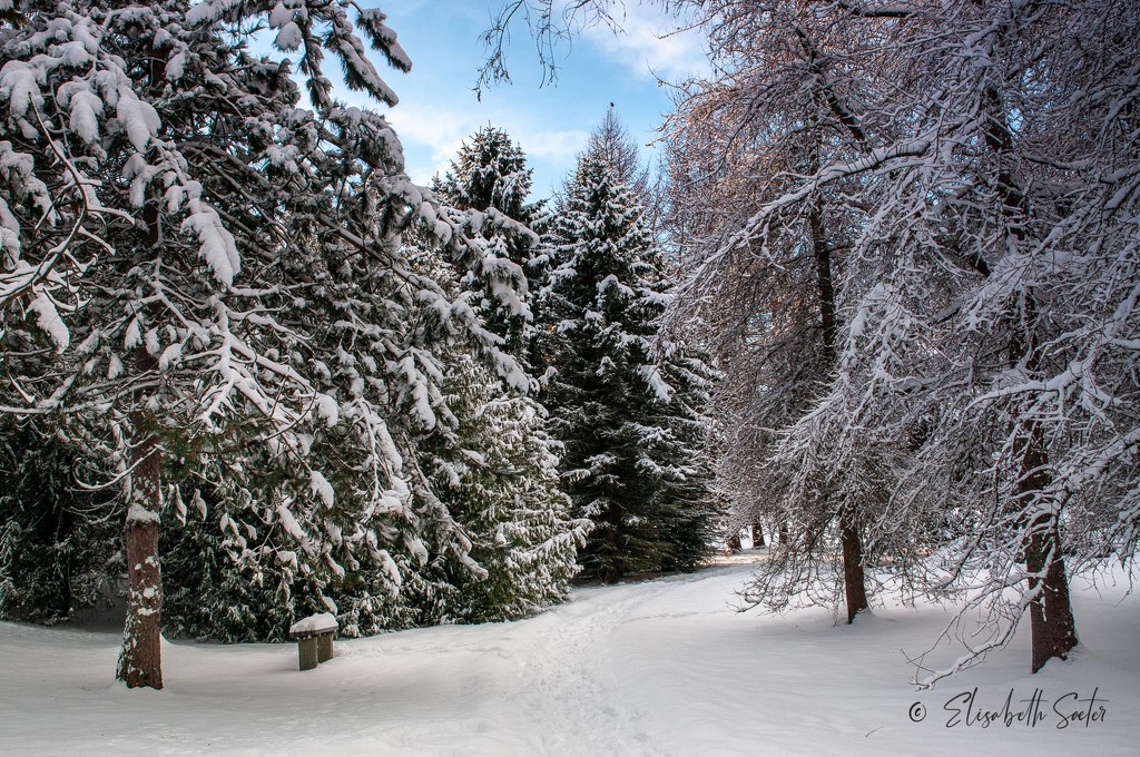 Winter in wonderland by elisasaeter