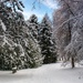 Winter in wonderland by elisasaeter
