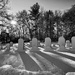 Graveyard shadows by srmueller