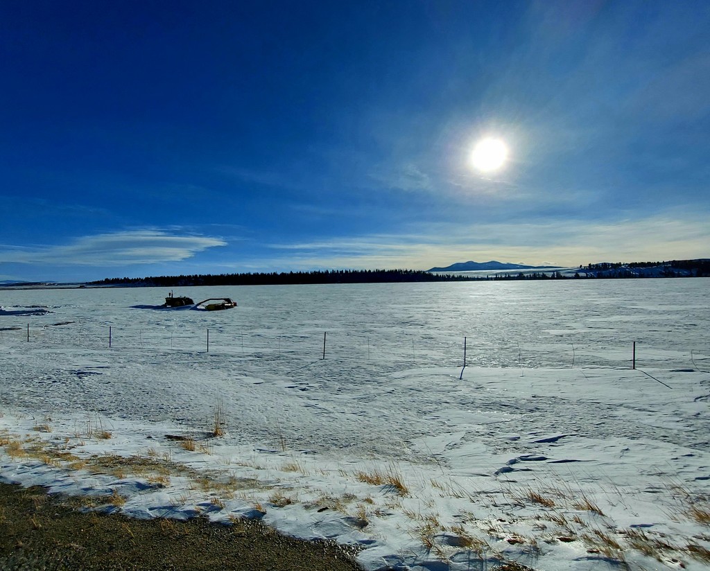 Frozen Field by harbie