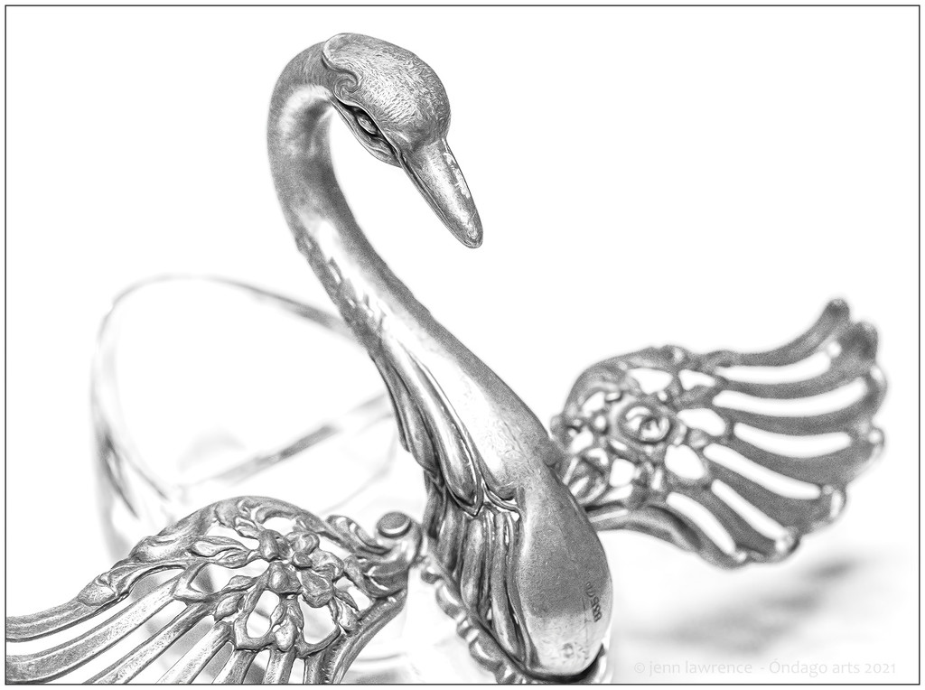 Silver Swan by aikiuser