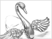 8th Feb 2021 - Silver Swan