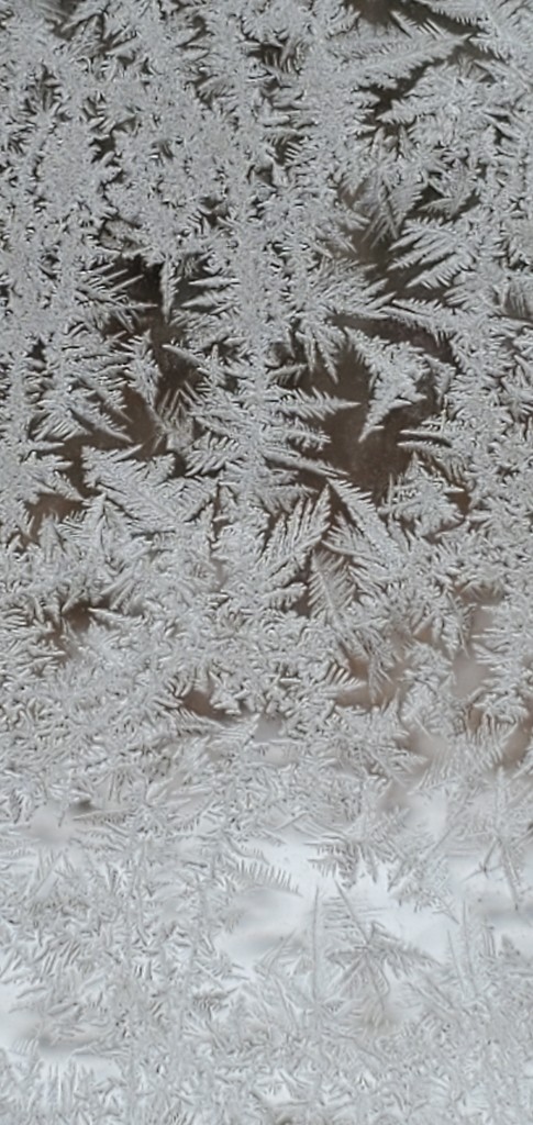 Jack Frost's Window Art by skipt07