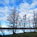 Bare Winter Trees by seattlite