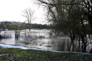 9th Feb 2021 - Lower Orchard and Marsh