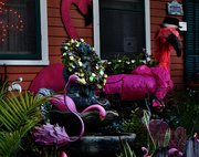 8th Feb 2021 - Mardi Gras Flamingos