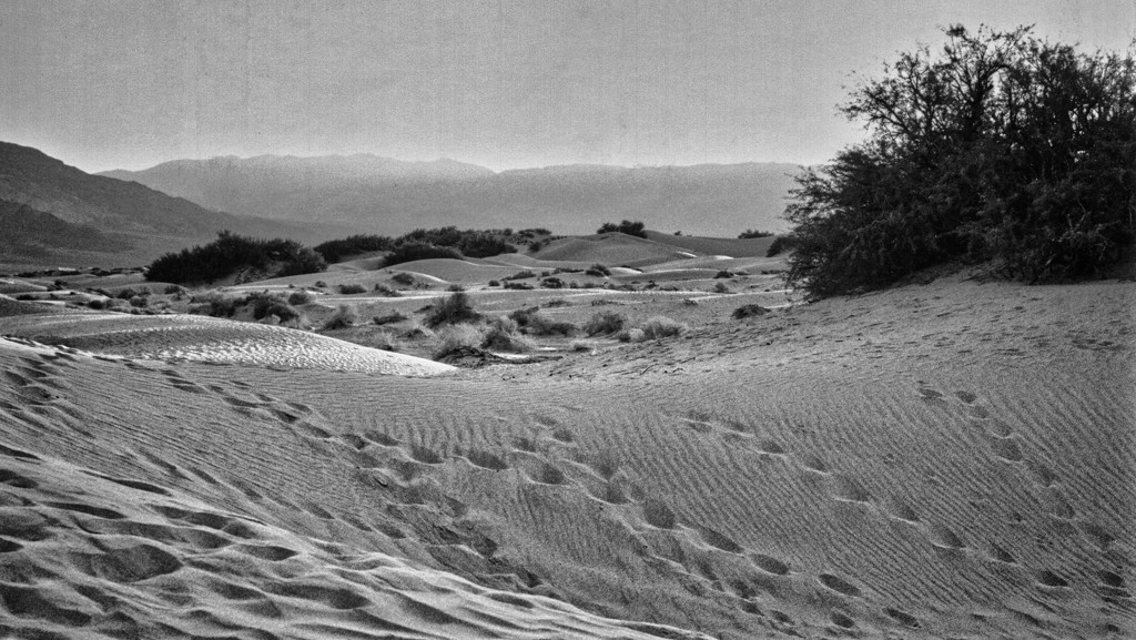 Death Valley by eudora