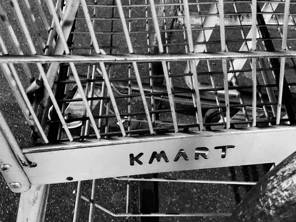 Kmart carts at the Piggly Wiggly by homeschoolmom