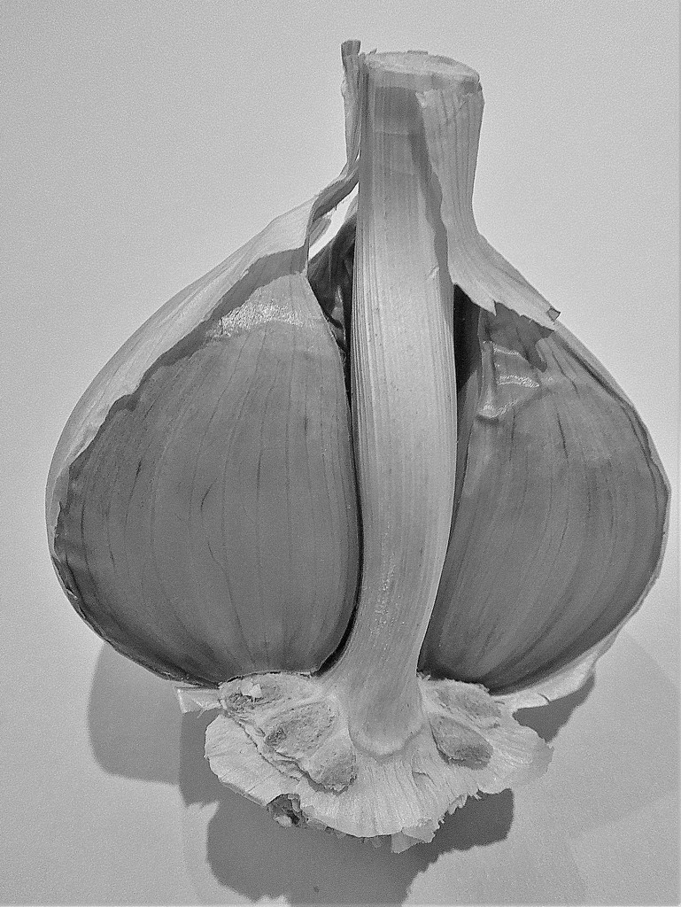 Inside the garlic by etienne
