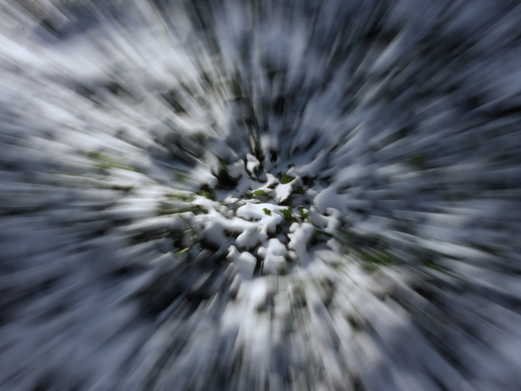 Snow rush by pingu
