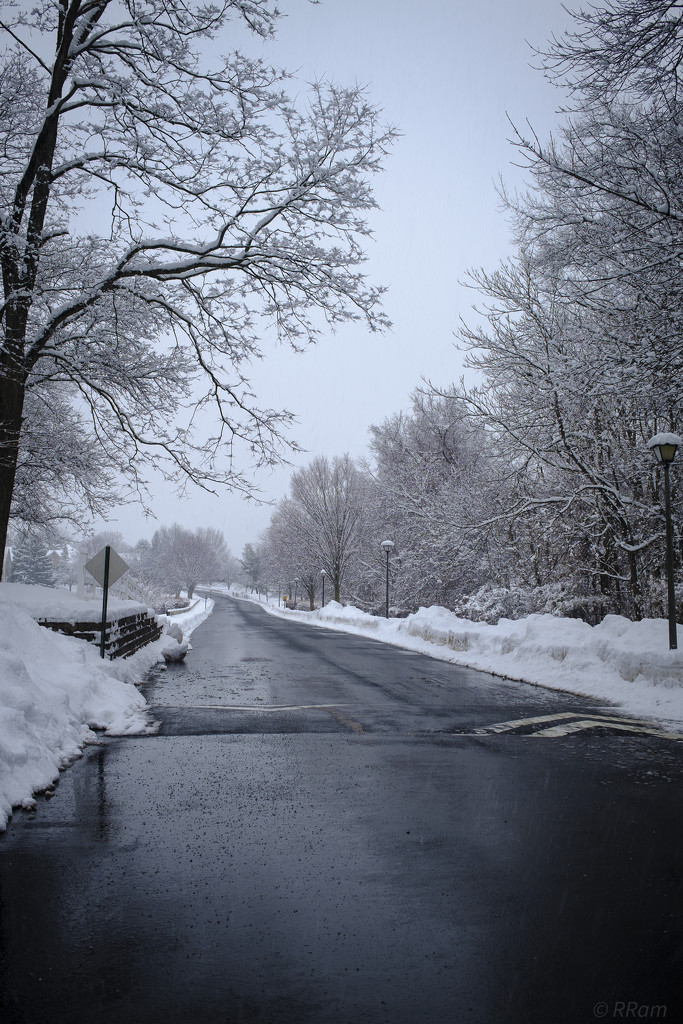 Winter Wonderland by ramr