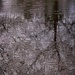 Rhythm of the Falling Rain... by marlboromaam