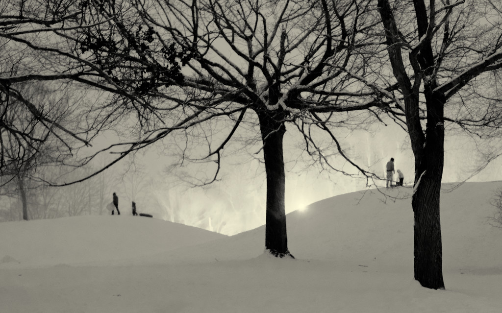 Sledding at Burrs Hill Park by brotherone