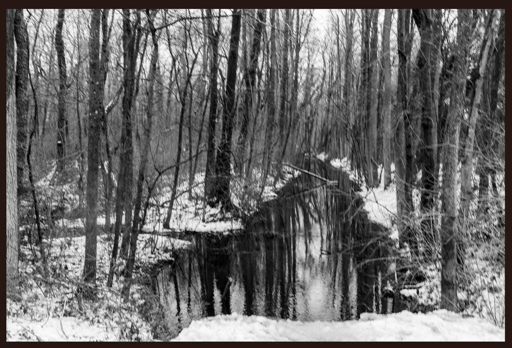 Stream in Winter by hjbenson
