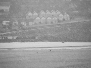 10th Feb 2021 - Swimmers in the snow