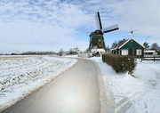 10th Feb 2021 - Winter in Holland