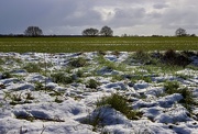 10th Feb 2021 - Winter Landscape 