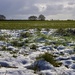 Winter Landscape  by carole_sandford