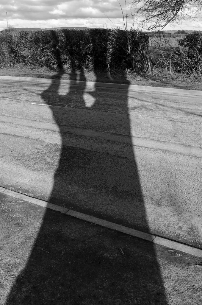 Mighty shadow B and W by clivee